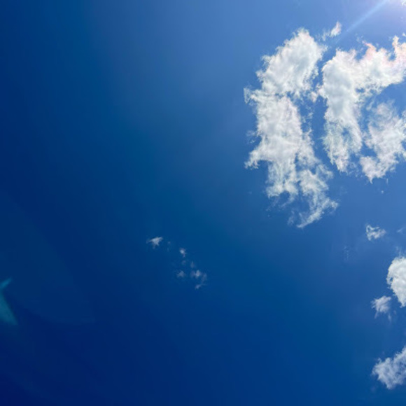 Meet your Posher, Anny - Picture 1 of 1